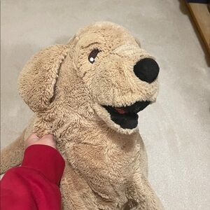 Dog stuffed animal
